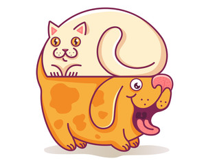 Cat and dog