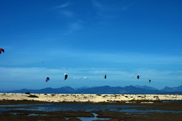 kites on sky