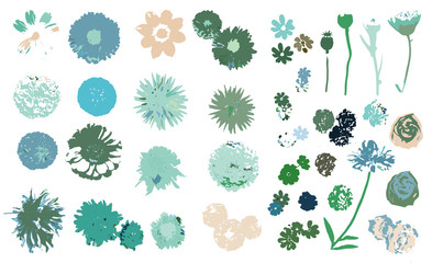 Vector flowers collection. Vector isolated elements on the white background.
