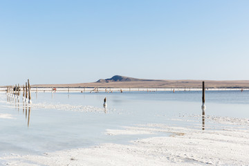 People on exotic beach of salt lake Baskunchak, view of Bogdo hill in Astrakhan