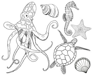 Line art set with octopus and underwater animals. Hand painted seahorse, turtle, starfish and shell isolated on white background. Aquatic outline illustration for design, print or background.