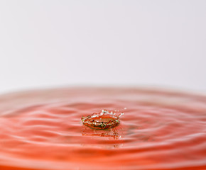 Close up macro photography of a red and green water drop splashing into water with a light colored white gray background