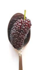 Big purple mulberry in a silver spoon on white background