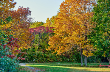 Autumn scene landscape somewhere in New England