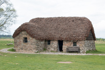 Thatched roof hut