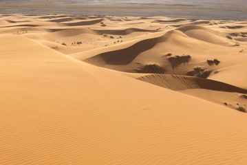 Fototapeta na wymiar Sand dunes in Sahara Desert, Merzouga, Morocco