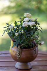 Brightly blossoming white roses in a metal cachepot - an ashpit on a wooden table in a summer garden.