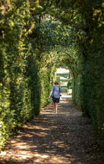 : Plant Tunnel in  the gardens of the Jardins de Marqueyssac in the Dordogne region of France