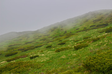 Fototapeta na wymiar The mountain in the cloud and fog