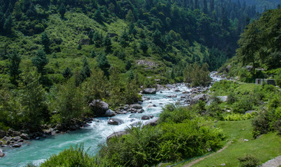mountain river in the forest in Manali, India