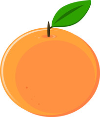 Orange vector