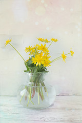 yellow spring flowers in a vase on a white background with highlights and bokeh