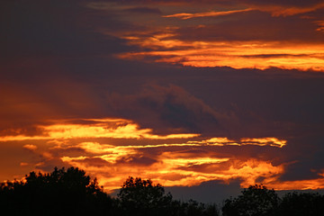 Sunset over trees in France