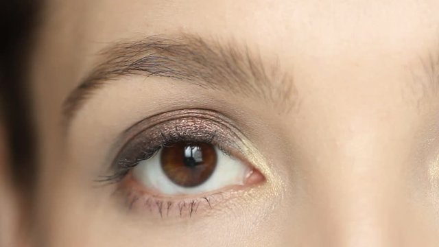 Macro shot of a brown woman eye with eyeshadow make up