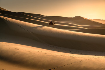 Fototapeta na wymiar gobi desert , Mongolia