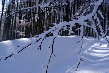 appennino tosco emiliano imbiancato da candida neve