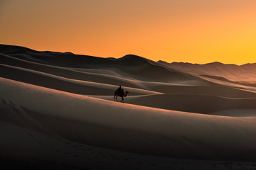 Fototapeta na wymiar Gobi desert , Mongolia 