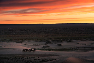 Fototapeta na wymiar Gobi desert , Mongolia 