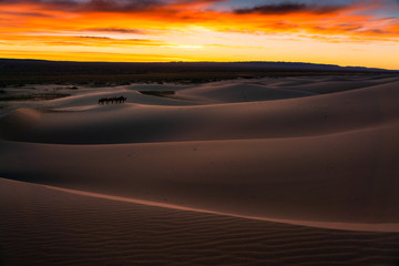 Gobi desert , Mongolia 