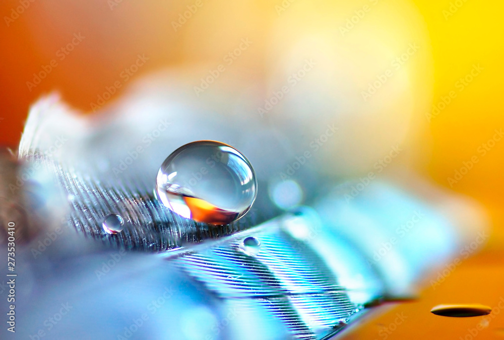 Poster beautiful transparent drop of pure water on feather, blurred .bright orange yellow background, macro