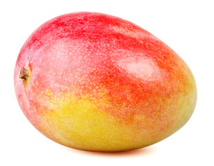 Isolated mango. One whole mango fruit isolated on white background with clipping path