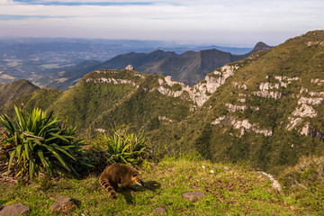 mountain landscape in the mountains