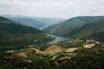 Fototapeta na wymiar View of Douro valley and vineyards in the hills, Porto, Portugal.
