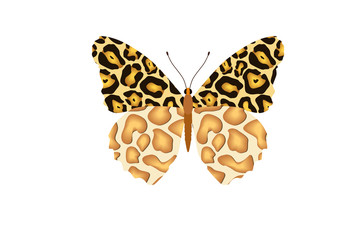 skin animals predators wild beasts tiger leopard