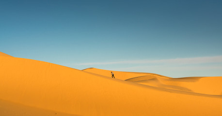 Plakat Gobi desert , Mongolia 