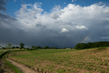 summer rainbow