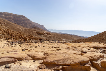 Fototapeta premium Travel in Timna park of Arava desert Israel
