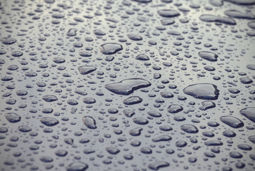 Large raindrops on a glossy black surface. Texture. Close-up.