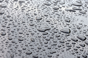 Large raindrops on a glossy black surface. Texture. Close-up.