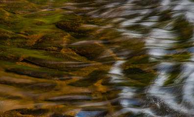 River Kamenice in color nice sunny spring evening