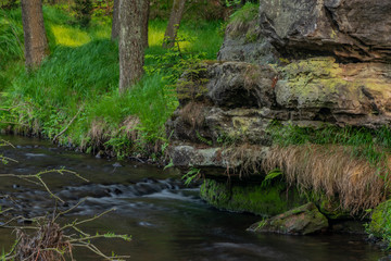River Kamenice in color nice sunny spring evening