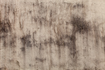 fragment of gray stones wall with mold