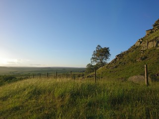 landscape with green field and blue sky