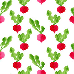 Watercolor seamless pattern with radish. Hand drawn eco diet food illustration. Tasty vegetables isolated on white background