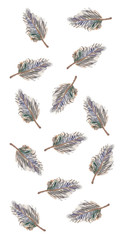 illustration watercolor feather card backdrop