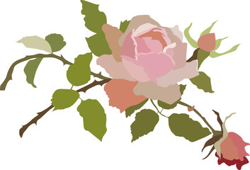 valentine's day love romantic