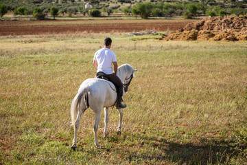 Back view of young male riding white horse in grassy meadow on cloudy day in countryside