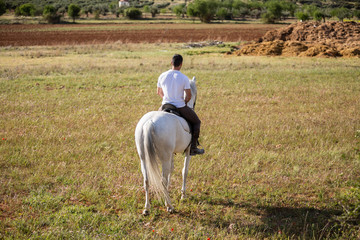 Back view of young male riding white horse in grassy meadow on cloudy day in countryside