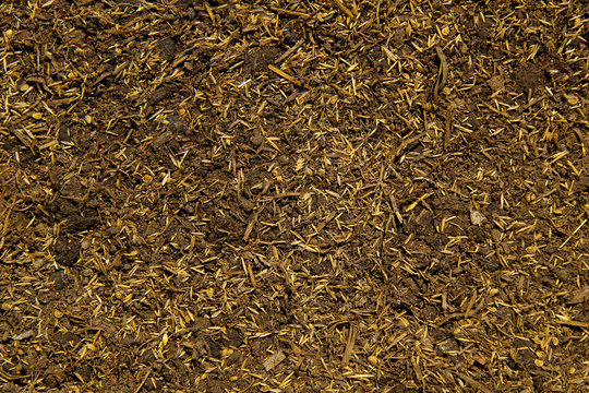 Seeds on ground background