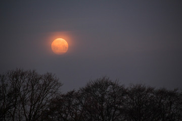 Beautiful moonset in spring in germany