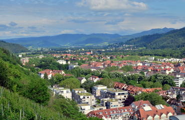 Fototapeta na wymiar Blick auf Freiburg und das Dreisamtal