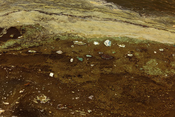 Dirty wave with old dirty algae. Dirty seaweed sea surf lines in seaport. Dirty sea, environmental...