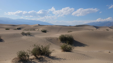 Death Valley Desert