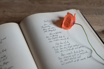 Gedicht, Blumen, Stillleben