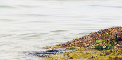 Piece of rock in the sea water on the shore