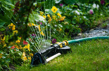 Water sprinkler is working in garden - 273542267